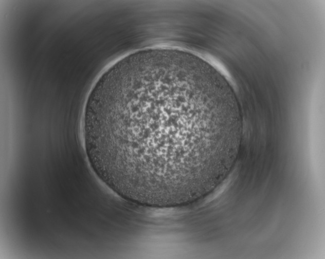 X0000089741247200707051751