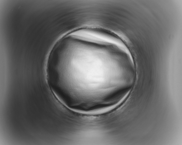 X0000089741248200707051751