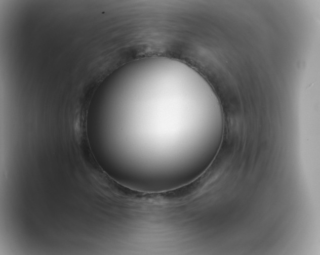 X0000089741250200707051750