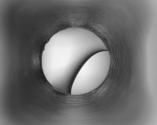 X0000089741252200707051750