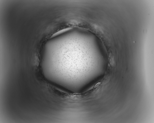 X0000089741253200707051750