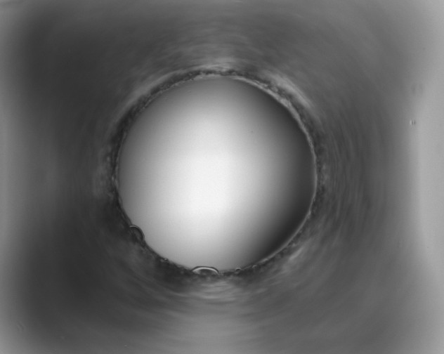 X0000089741256200707051750