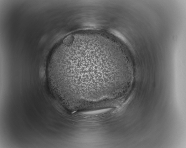 X0000089741259200707051750