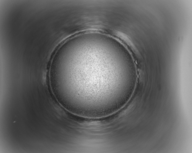 X0000089741260200707051750