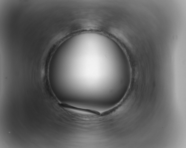 X0000089741261200707051750