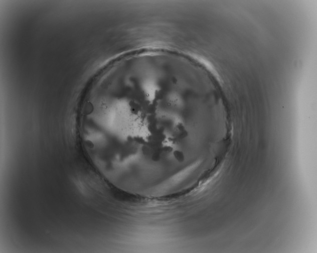 X0000089741263200707051750