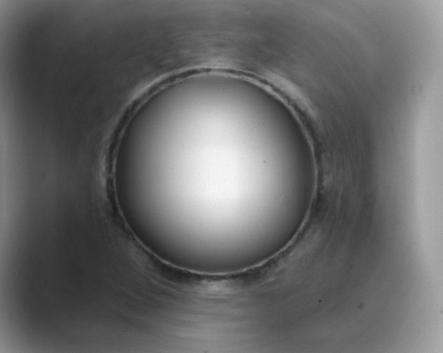 X0000089741264200707051750