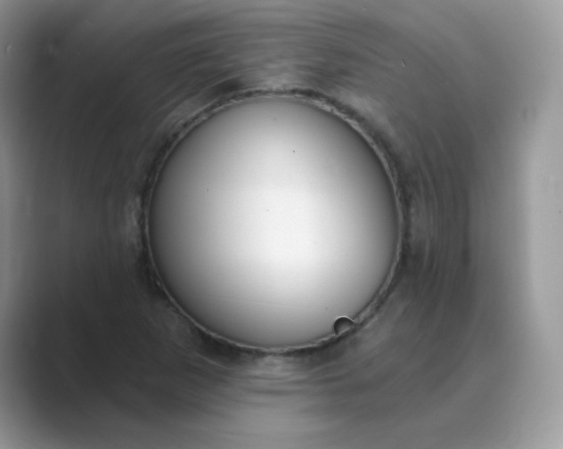 X0000089741265200707051750