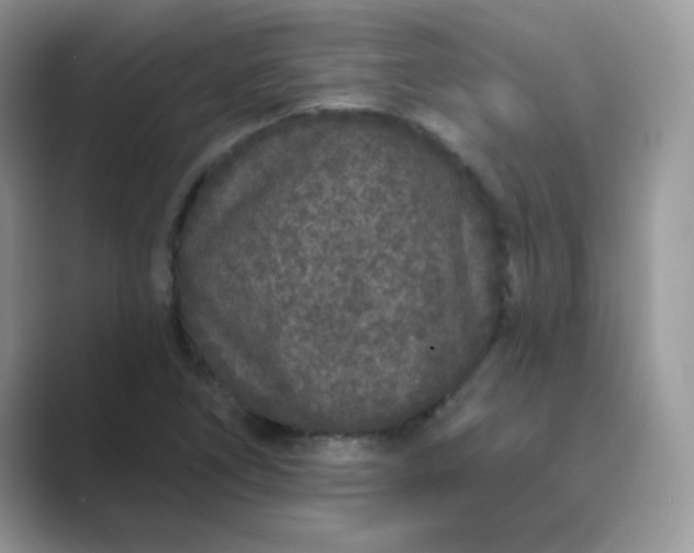 X0000089741266200707051750