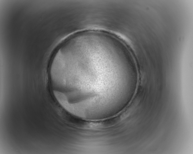 X0000089741271200707051750