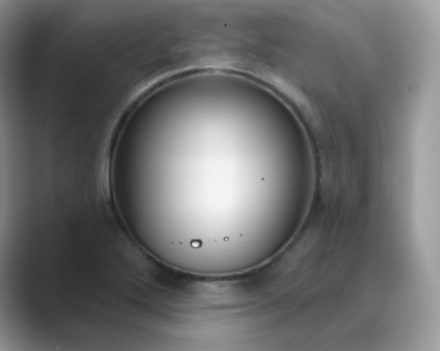 X0000089741272200707051750