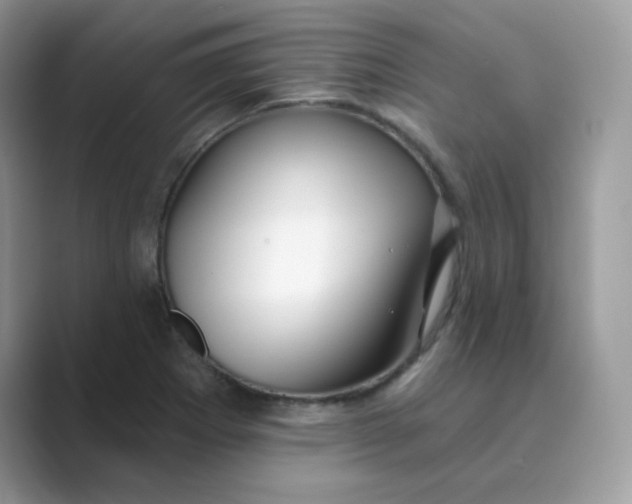 X0000089741273200707051750