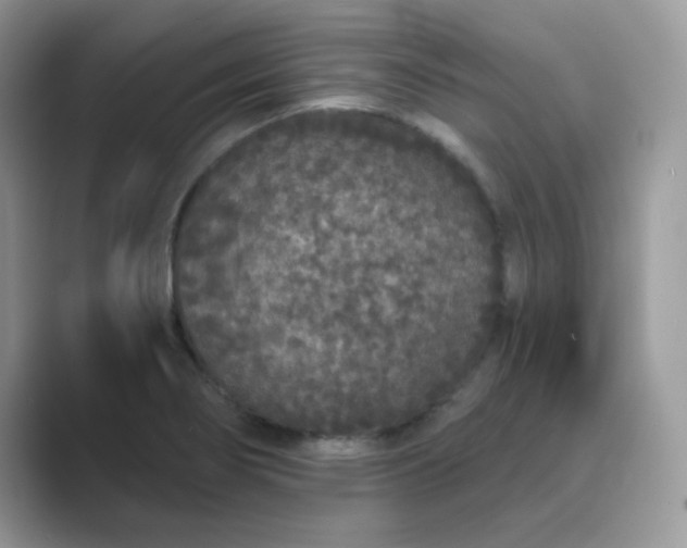 X0000089741274200707051750