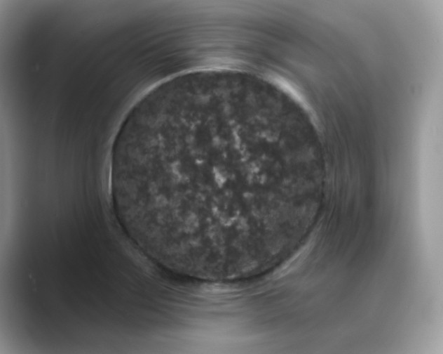 X0000089741275200707051750