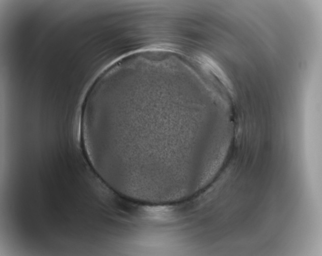 X0000089741276200707051750