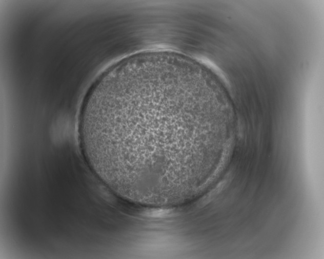 X0000089741278200707051750