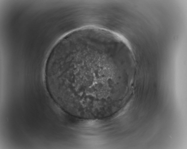 X0000089741279200707051750