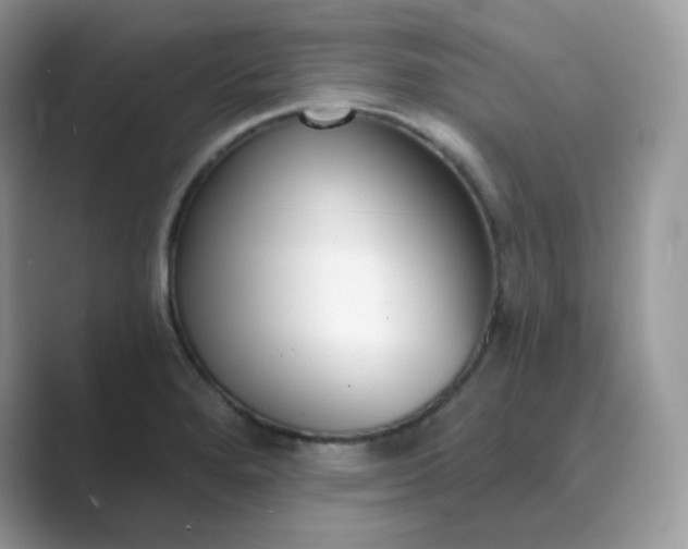 X0000089741280200707051750