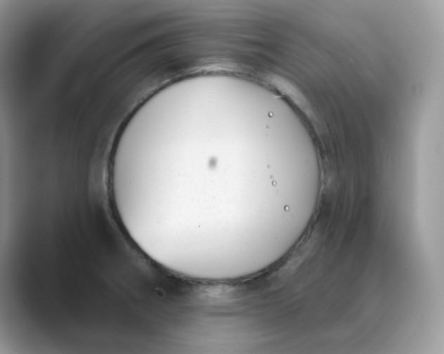 X0000089741282200707051750