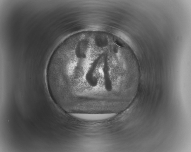 X0000089741283200707051750