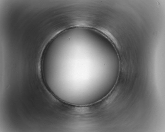 X0000089741285200707051750