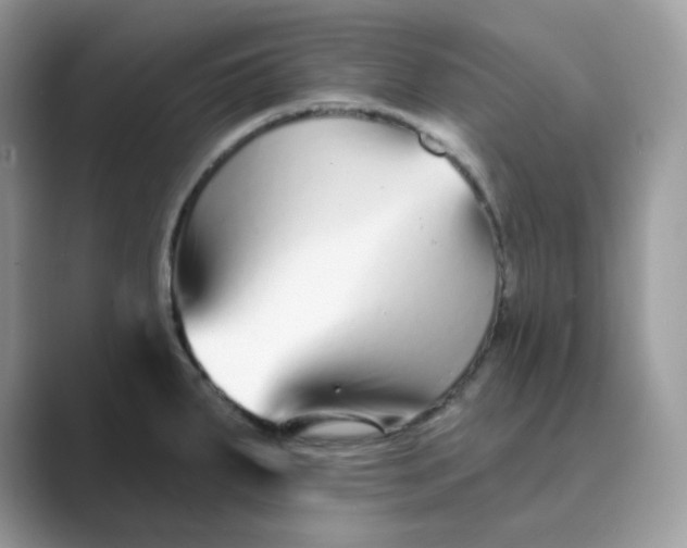 X0000089741287200707051750