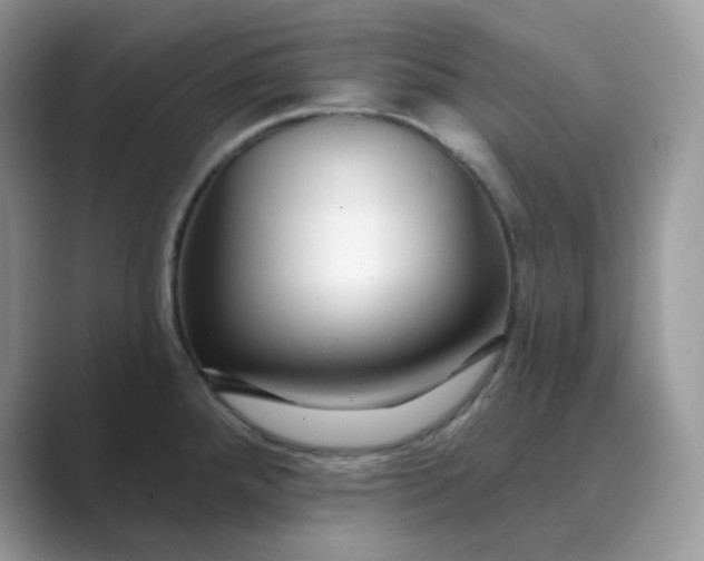 X0000089741288200707051750