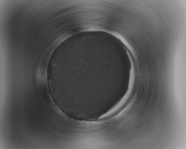 X0000089741289200707051750