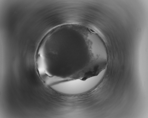 X0000089741291200707051750