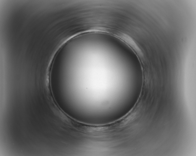 X0000089741292200707051750