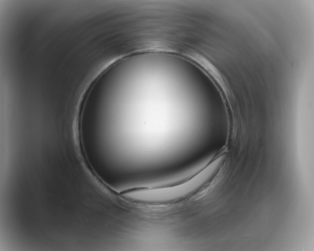 X0000089741293200707051750