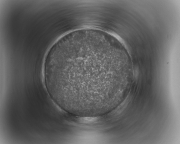 X0000089741294200707051750