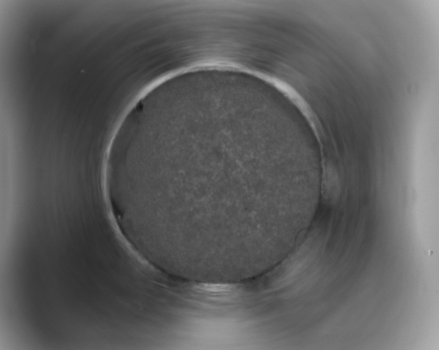 X0000089741295200707051750