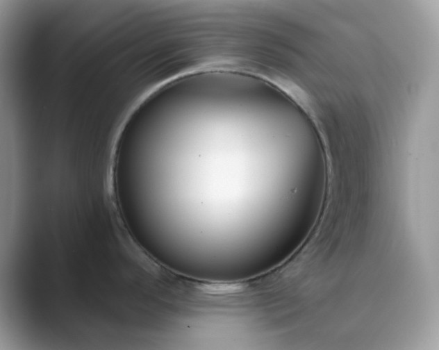 X0000089741296200707051750