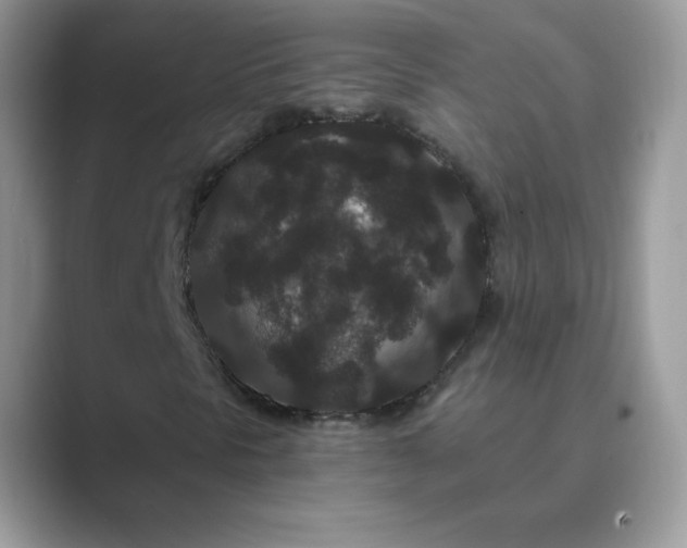 X0000089741297200707051749