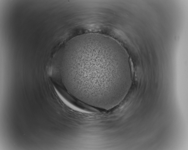 X0000089741298200707051749