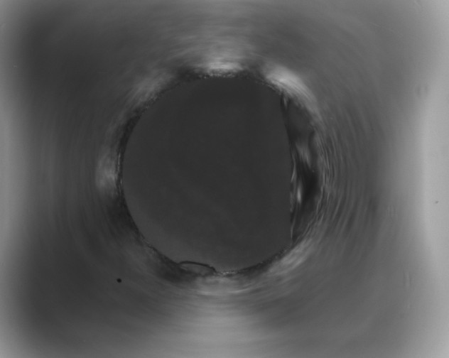 X0000089741300200707051749