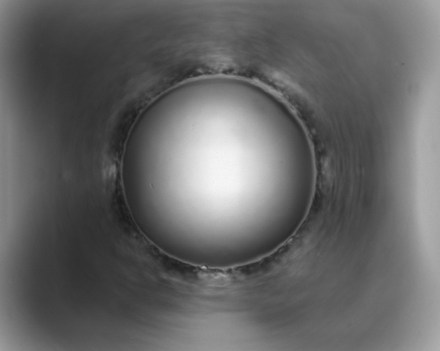 X0000089741302200707051749