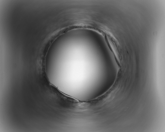 X0000089741304200707051749