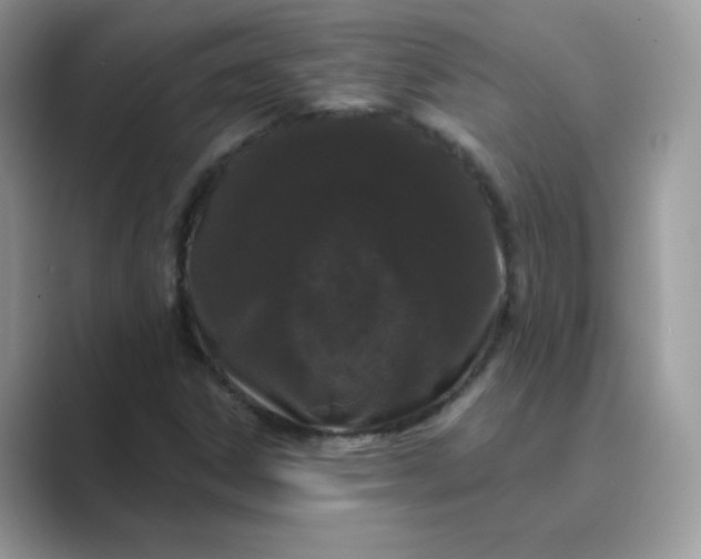 X0000089741306200707051749