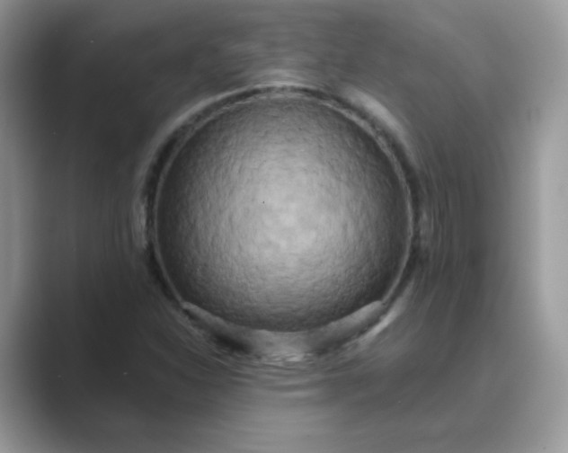 X0000089741310200707051749