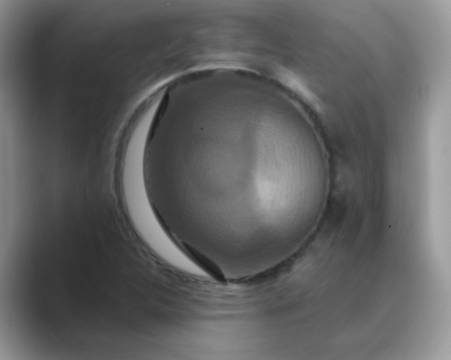 X0000089741312200707051749