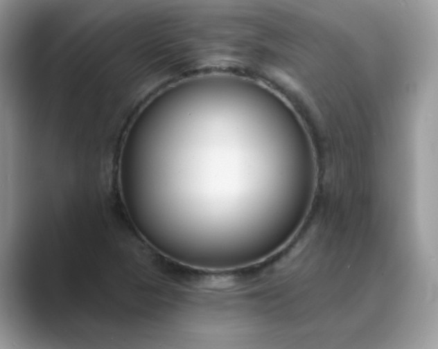 X0000089741313200707051749