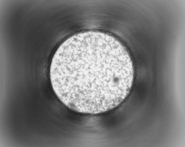 X0000089741314200707051750