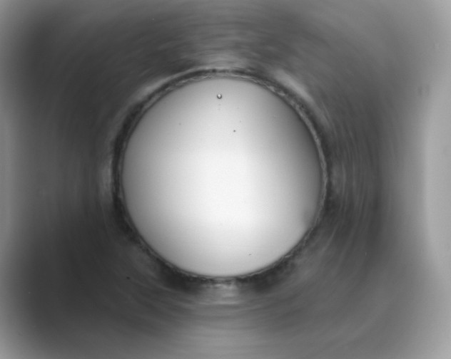 X0000089741315200707051750