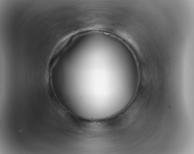 X0000089741316200707051750