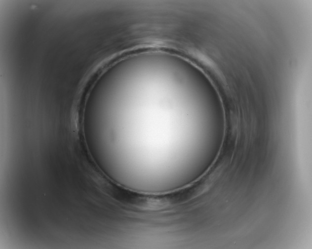 X0000089741318200707051750