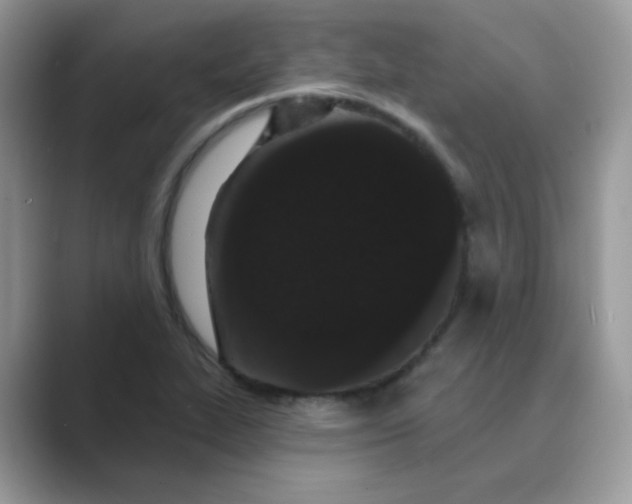 X0000089741319200707051750