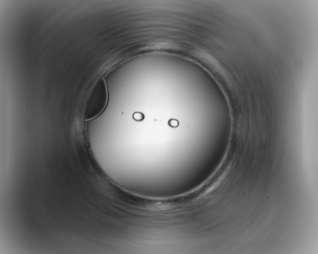 X0000089741321200707051750