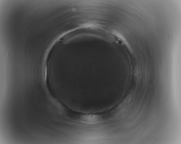 X0000089741323200707051750